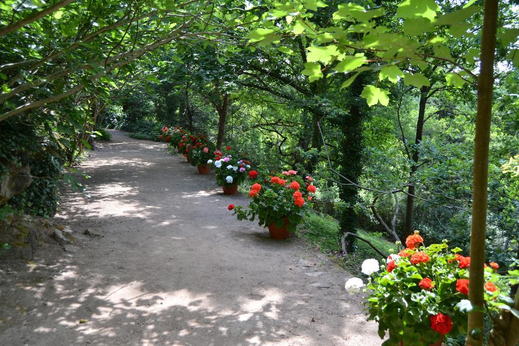 Chateau De Peufeilhoux Vallon-en-Sully Екстериор снимка